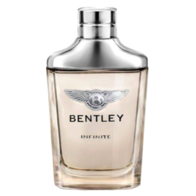 Perfume Bentley Infinite Masculino Eau de Toilette 100 ...