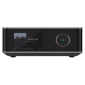 Amplificador Wiim Amp Ultra Gray