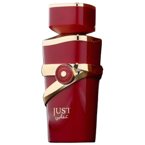 Perfume World Just Anabi Feminino Eau de Parfum 100ml